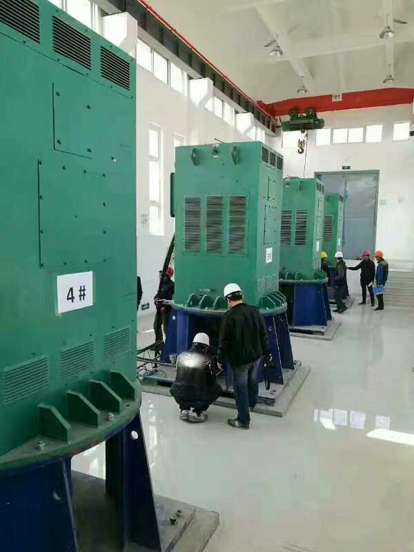 国营东升农场某污水处理厂使用我厂的立式高压电机安装现场生产厂家