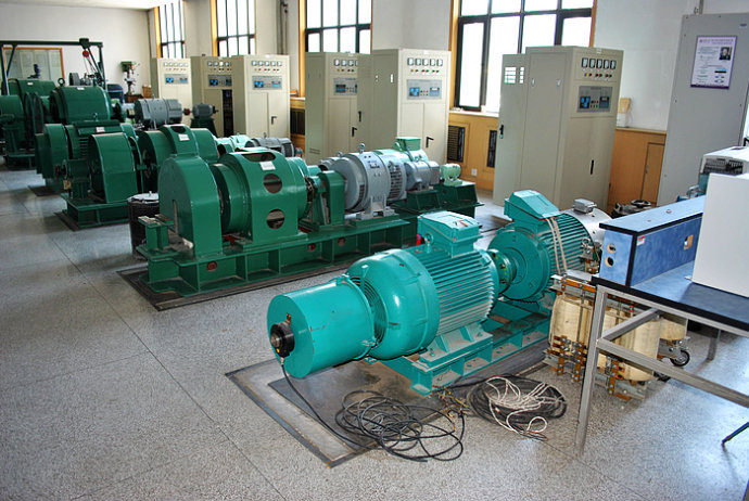 国营东升农场某热电厂使用我厂的YKK高压电机提供动力